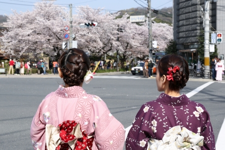 Japanese girl in traditional dress called Kimono with Sakura blossomのeditorial素材
