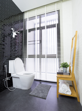 Interior of modern contemporary bathroom with toiletの写真素材