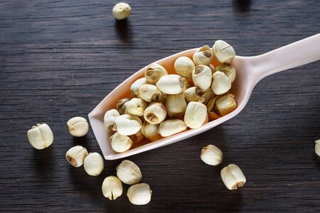 image of lotus seedの写真素材