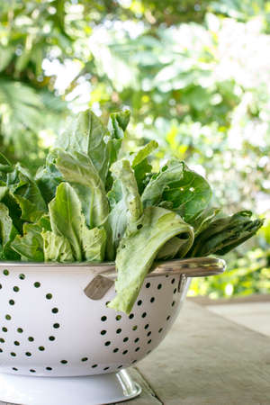 kale vegetable (Chinese Broccoli ) on woodの写真素材