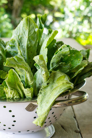 kale vegetable (Chinese Broccoli )