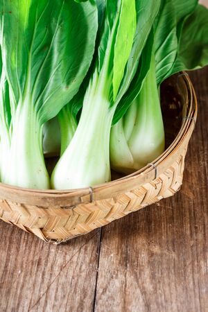 Bok choy chinese cabbage or Qing geng caiの写真素材