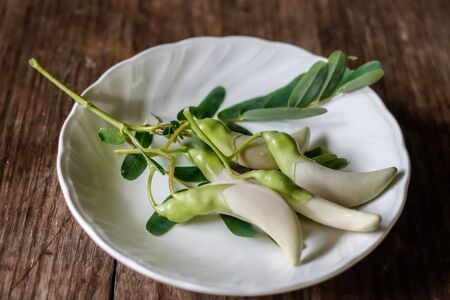 Vegetable humming bird, Sesbania grandiflora, agastaの写真素材