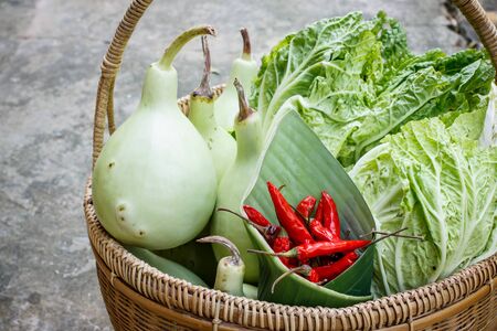 basket of vegetable in gardenの写真素材