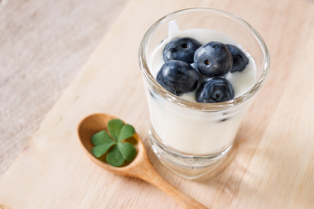 homemade yogurt with bluberriesの写真素材