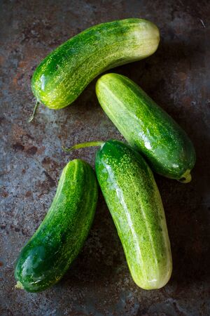 Organic cucumber fresh from gardenの写真素材