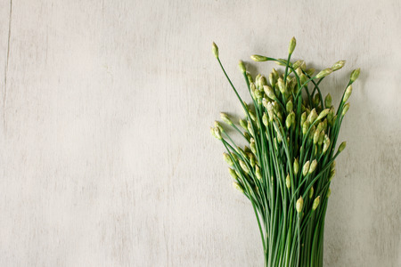 Garlic chives for cooking put on vintage table, food backgroundの写真素材
