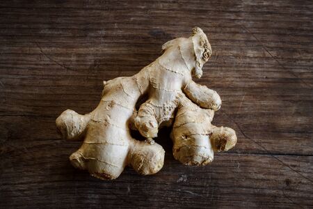 ginger put on old woodの写真素材