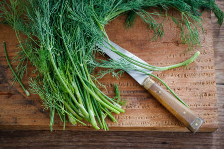 bunch of fresh organic dill on a rustic wooden background prepare for cooking