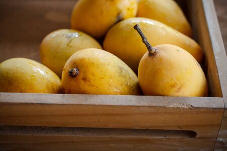 thai yellow mango put on rustic wooden