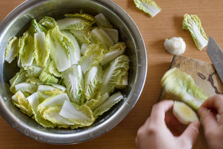 chinese cabbage prepare for cooking and hand moving catch vegetable.の写真素材