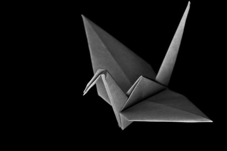 An origami bird on a black backgroundの写真素材