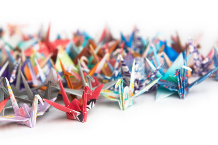 A group of colourful origami birds on a white backgroundの写真素材
