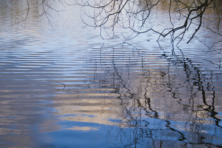 Reflection of the sky and empty branches on a lake