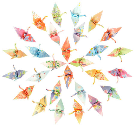 Paper birds arranged in concentric circles and isolated on a white background の写真素材