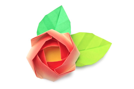 A red paper rose with two leaves on a white background の写真素材