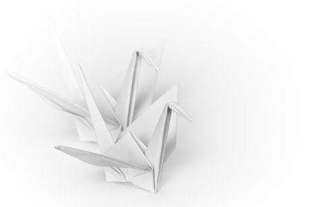 Two white paper birds next to each other on a white background. Shallow depth of field. の写真素材