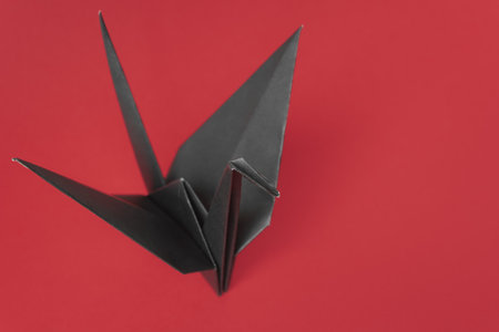 A black paper bird on a black background の写真素材