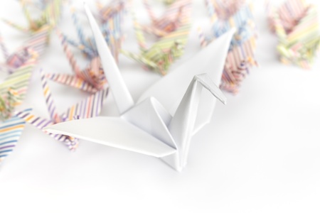 A big white paper bird and a group of small paper birds, shallow depth of field  の写真素材