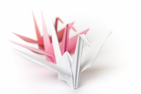 3 paper birds lining up on a white background. Shallow depth of field.の写真素材