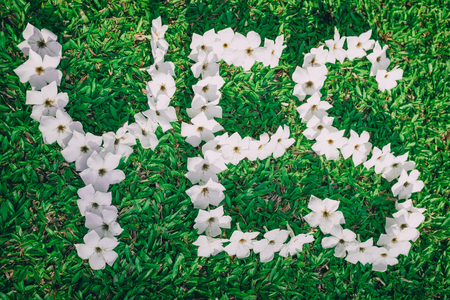 Picture of Green Lawn Write Yes With white flowers Focus on flowersの写真素材