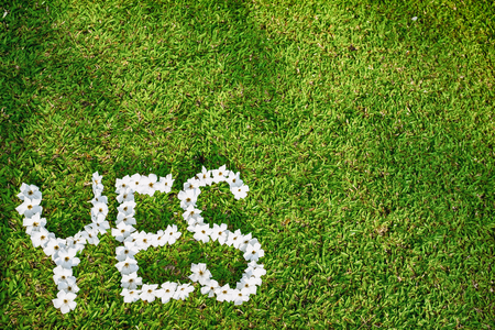 Picture of Green Lawn Write Yes With white flowers Focus on flowersの写真素材