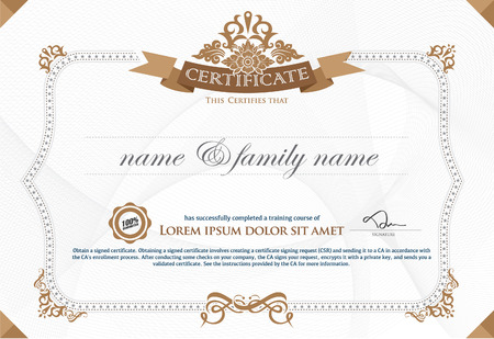 Premium VIP Certificate : Vector illustration of gold detailed certificate.のイラスト素材