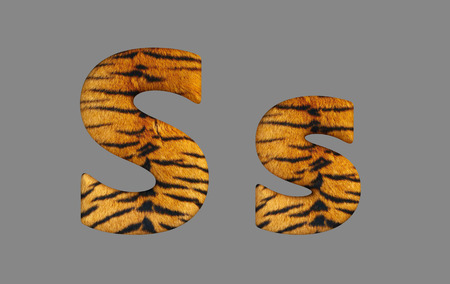 Form letters from program design 3d image of a tiger skin.の写真素材
