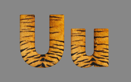 Form letters from program design 3d image of a tiger skin.の写真素材