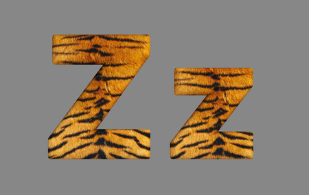 Form letters from program design 3d image of a tiger skin.の写真素材