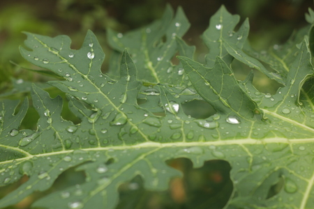 wallpaperの写真素材