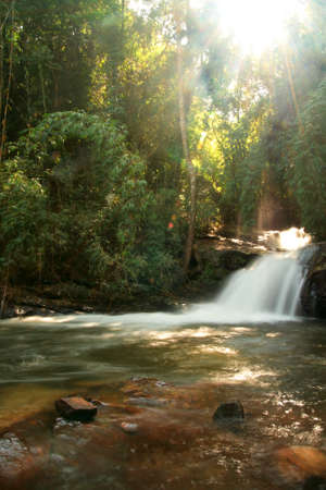 Fall on Inthanon Hill, Chiangmai Thailandの写真素材