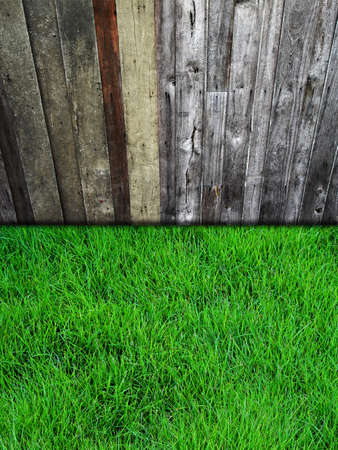 Vintage old wooden wall with green grass の写真素材