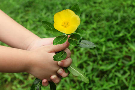 child hand giving a flowerの写真素材