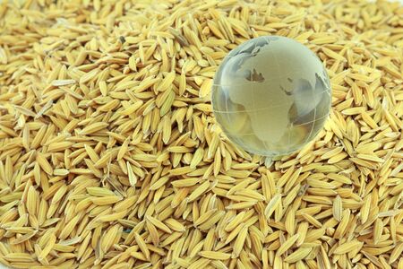 Globe on rice backgroundの写真素材