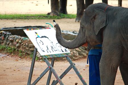 Artistic Elephant painterのeditorial素材