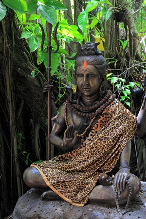 Hindu God Vishnu in the wildの写真素材