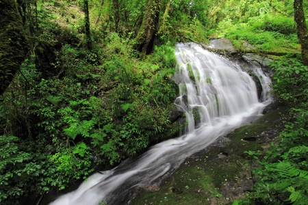 Waterfall in Inthanon mountain, Chiang mai Thailand の写真素材