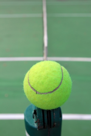 Tennis ball on netの写真素材