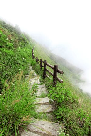 Walkway on the mountain in the fog, Chiang mai Thailandの写真素材