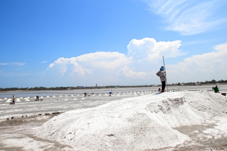 People working in the salt fieldの写真素材