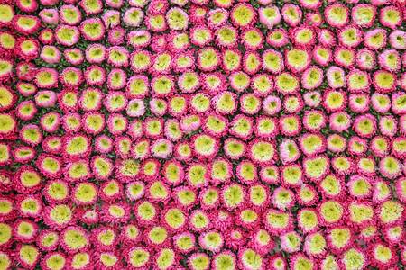 Thai floral pattern