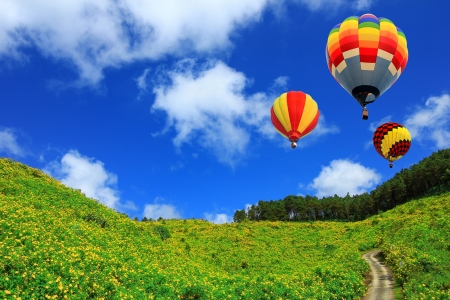 hot air balloon on Yellow flower field Tung Bua Tong  Mexican sunflower weed valley  in Maehongson, Thailand の写真素材