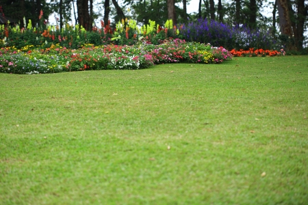 Landscaped Formal Garden Parkの写真素材