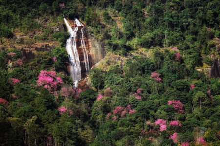waterfall in forest 