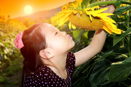 Cute asian child with sunflowerの写真素材