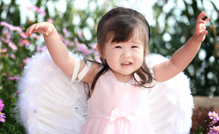 Little fairy in flower fieldの写真素材