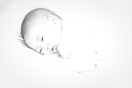 Baby B & Wの写真素材