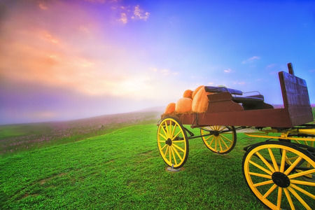 carriage on green grass at sunrise
