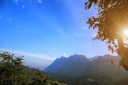 Mountain and Tree  (Doi Chiang Dao)